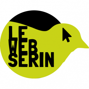 Logo le web serin